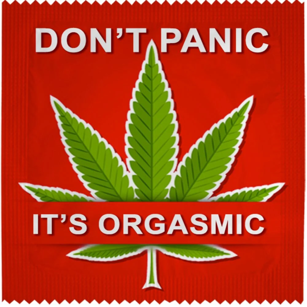 Condom - Don't Panic It's Orgasmic